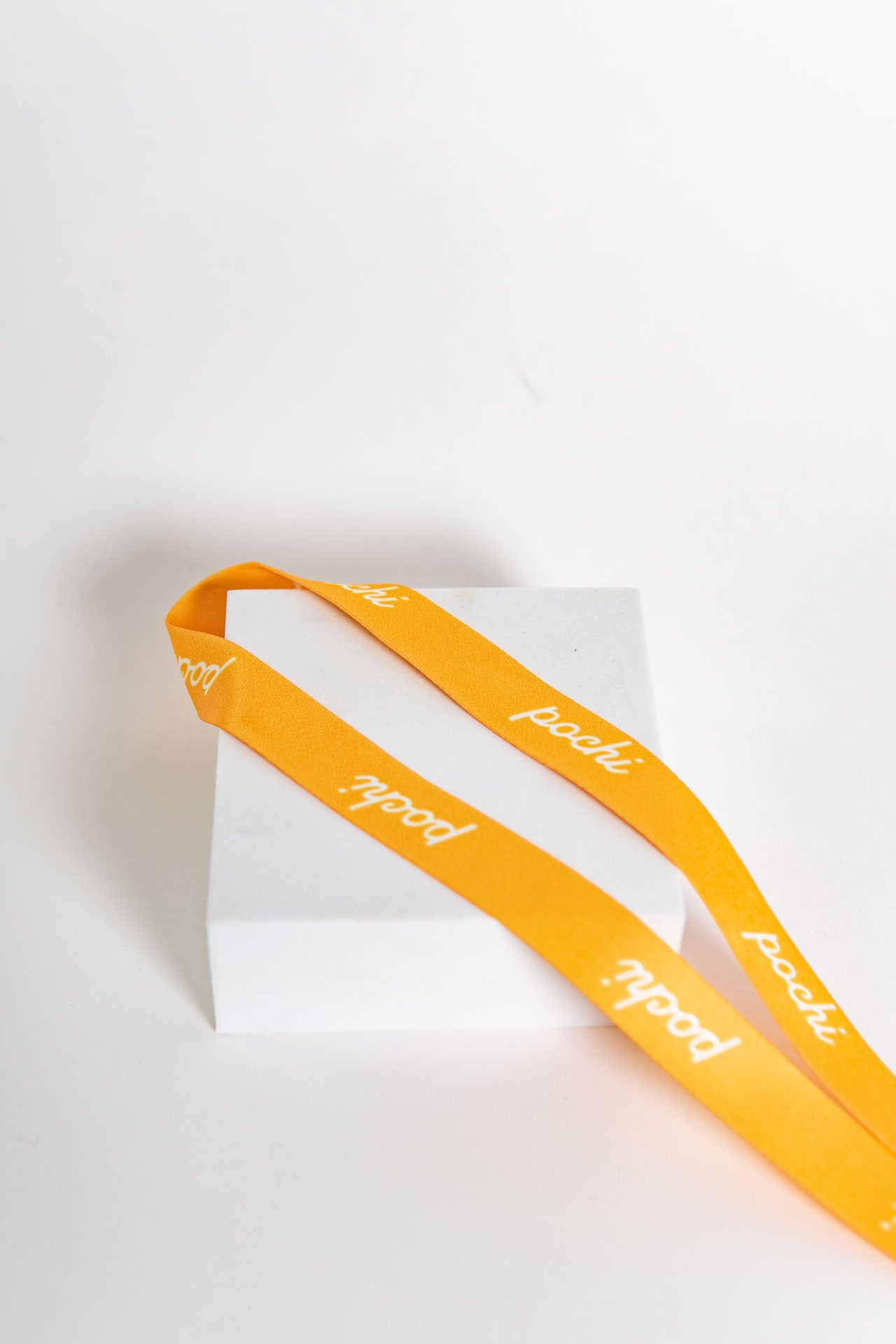 Pochi Lanyard